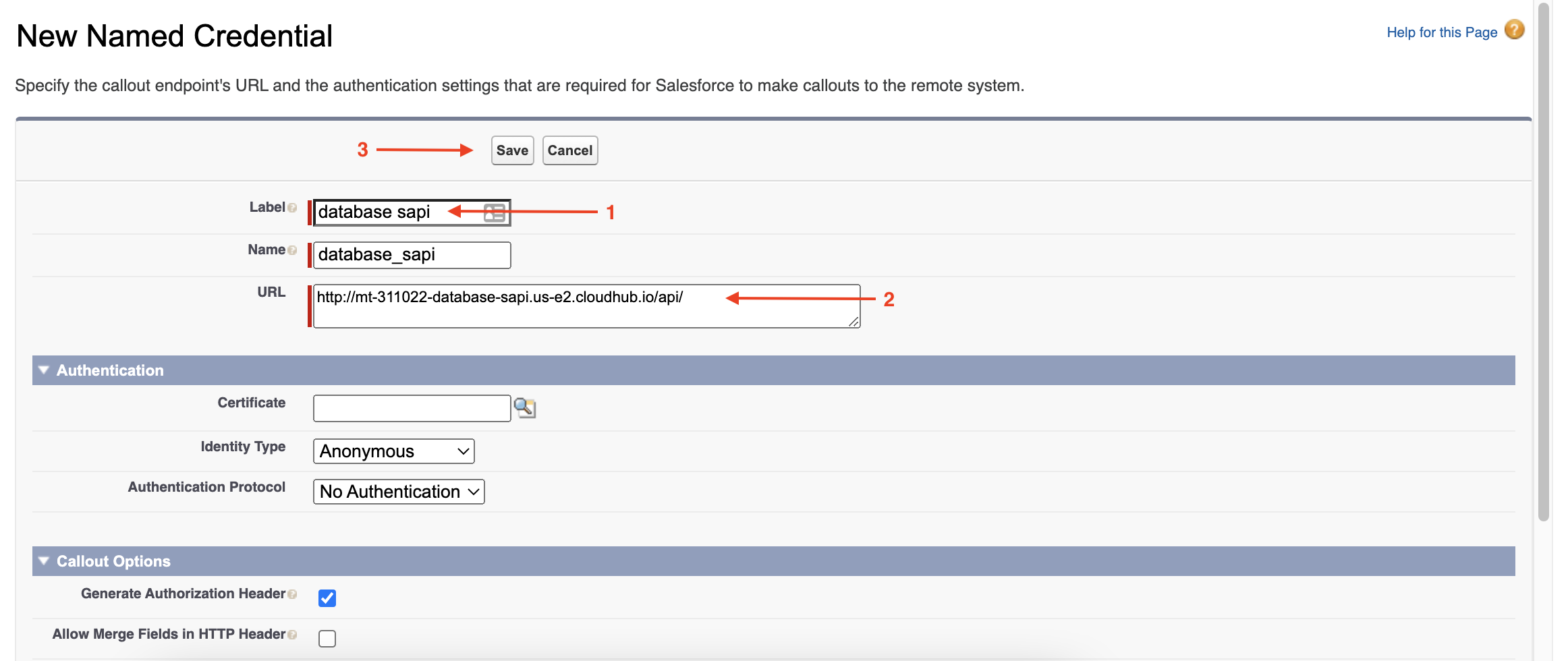 cloudhub named cred details