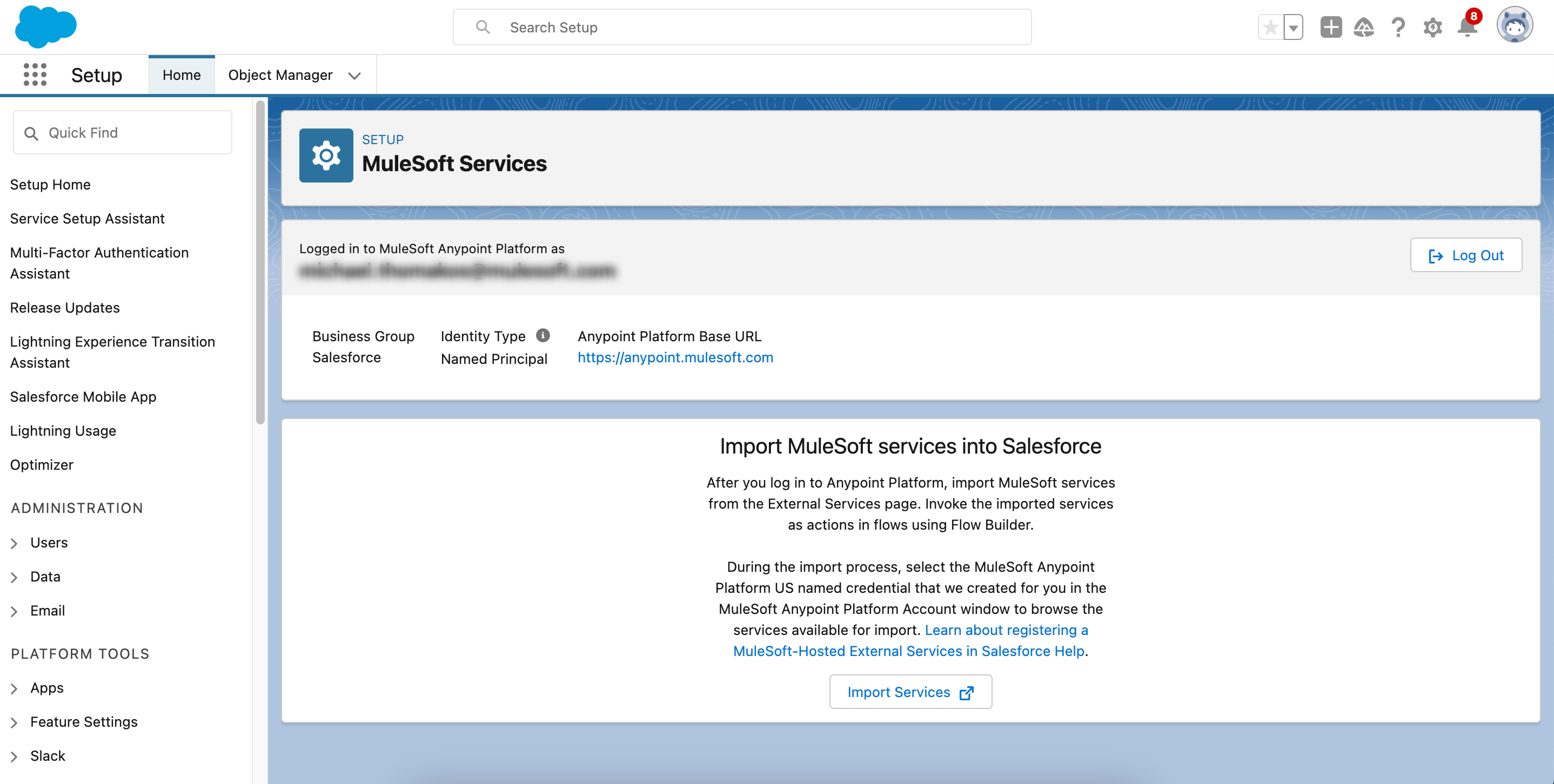 mulesoft services logged in