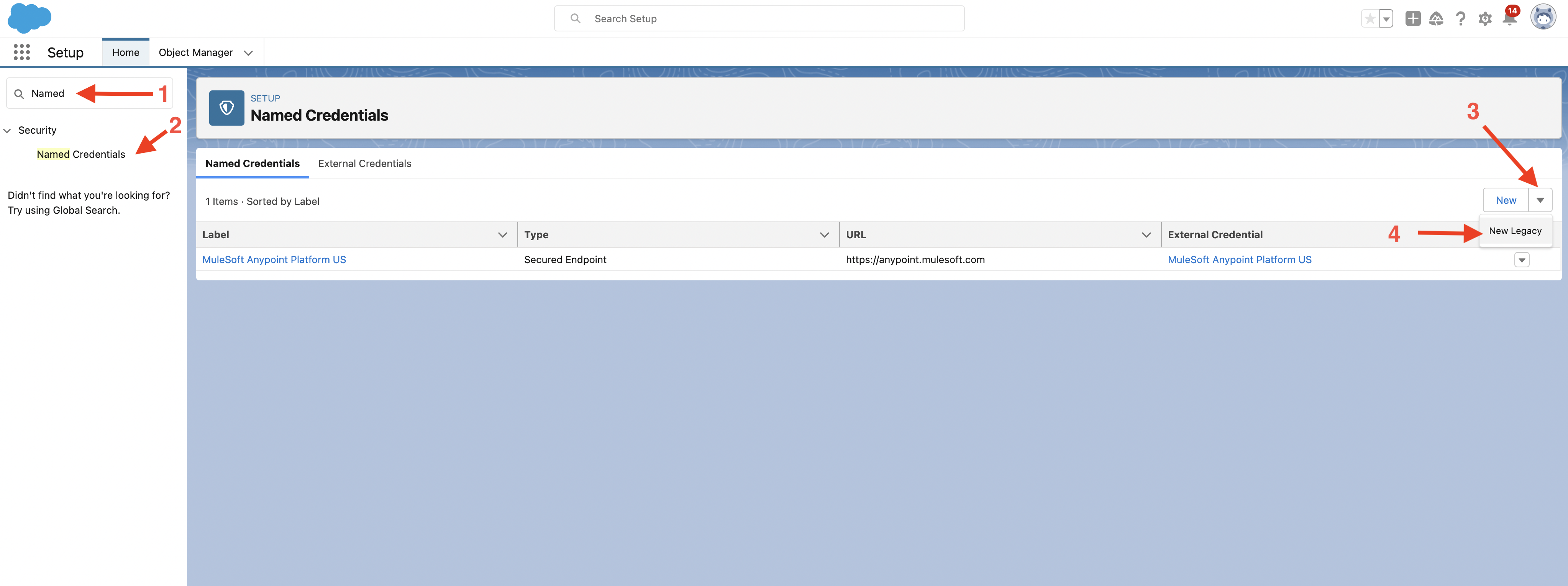 navigate named credential