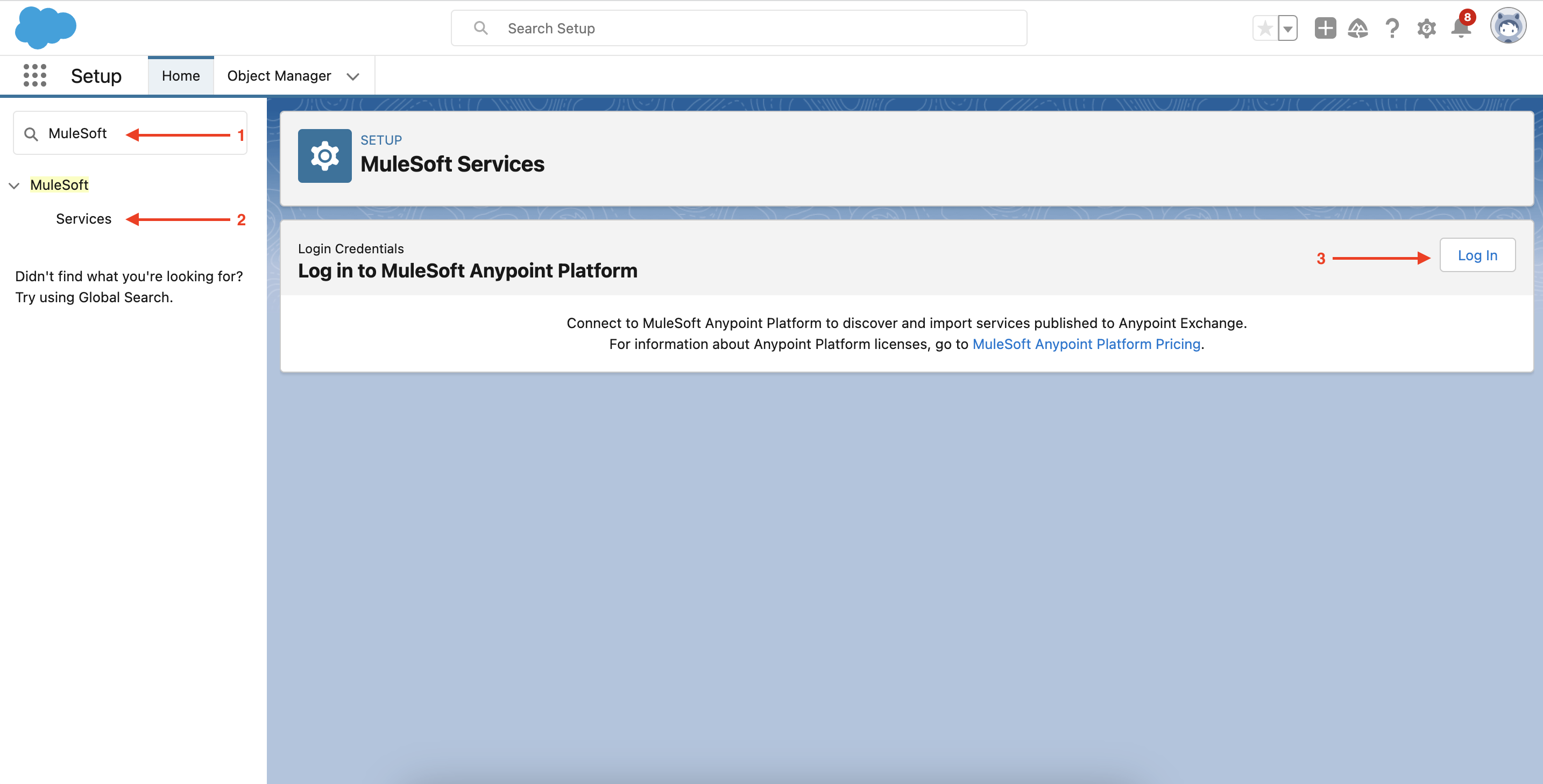setup mulesoft services