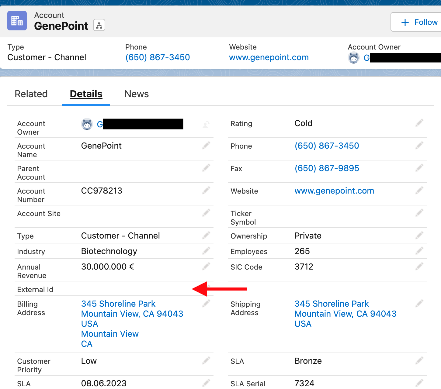 Salesfroce Account External ID in Detail 2022 11 11 at 18.16.50